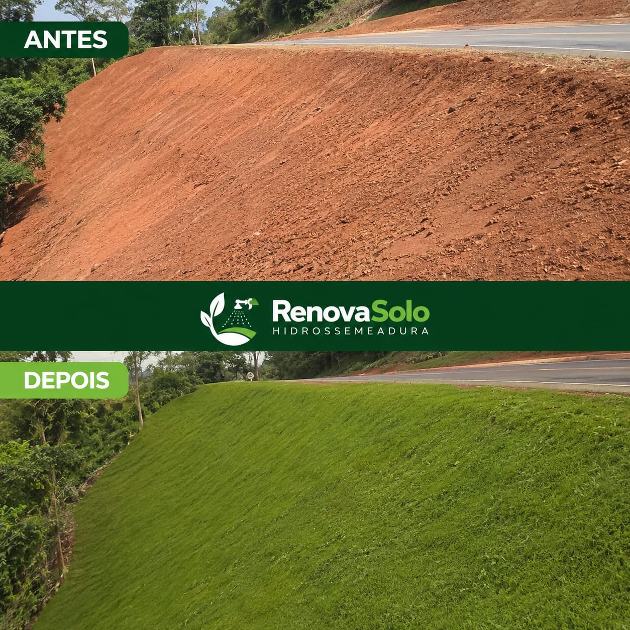Talude de rodovia antes e depois da hidrossemeadura RenovaSolo